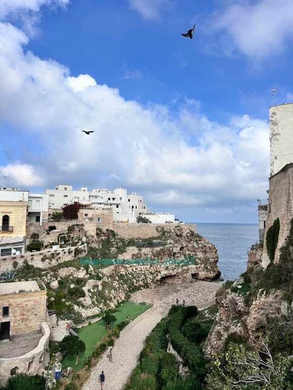 폴리냐노아마레1